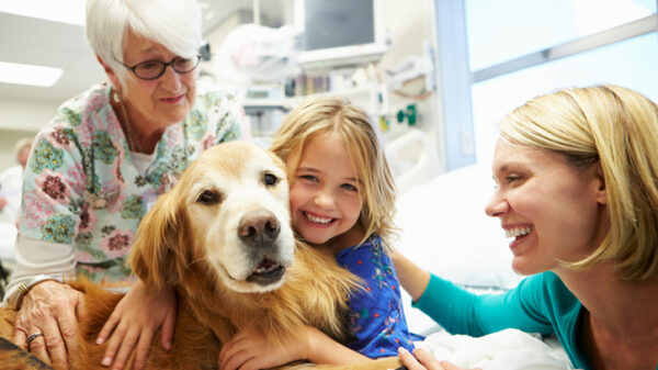 Animal-Assisted Interventions