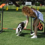 Pet Training Techniques